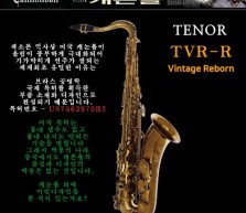 캐논볼 TVR-L