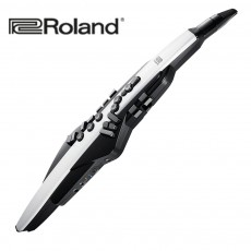 로렌드 AE-20
