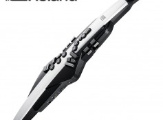 로렌드 AE-20