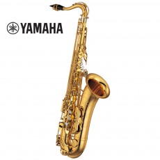 야마하 875 EX